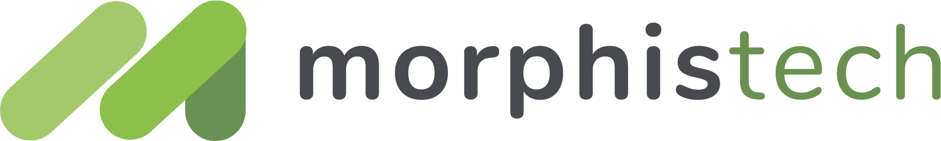Morphis Insights
